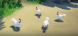 chickens in sea of thieves